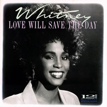 Love Will Save The Day (Vinyl)
