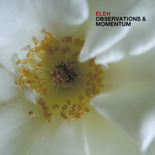 Observations & Momentum (Vinyl)