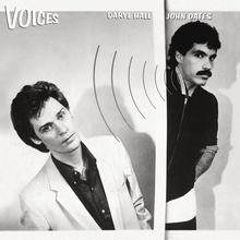 Voices (Vinyl)