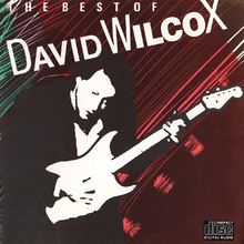The Best Of David Wilcox