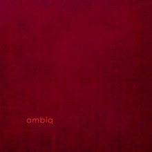 Ambiq (With Claudio Puntin & Samuel Rohrer)