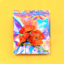 Mini Bloom (EP)