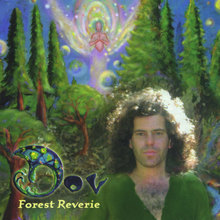 Forest Reverie