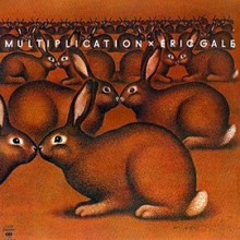 Multiplication (Vinyl)