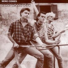 Here Comes The Waltons (Vinyl)