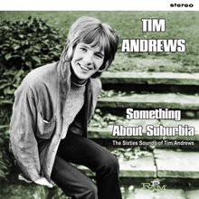 Something About Suburbia: The Sixties Sounds Of Tim Andrews