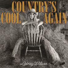 Country's Cool Again (CDS)
