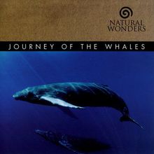 Journey Of The Whales