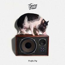 Truffle Pig (CDS)