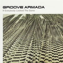 If Everybody Looked The Same (CDS)