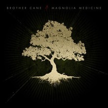 Magnolia Medicine