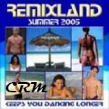 VA - Remixland Summer 2005 CD2