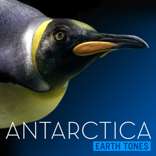 Earth Tones: Antarctica