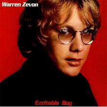 Excitable Boy (Vinyl)