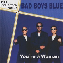 Hit Collection Vol. 1 (You're A Woman)