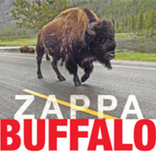 Buffalo CD1