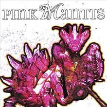 Pink Mantis