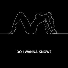 Do I Wanna Know? (CDS)