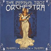The Possum Trot Orchestra