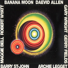 Banana Moon (Vinyl)