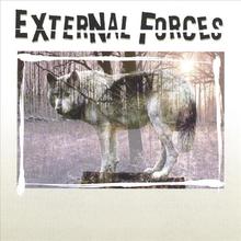 External Forces