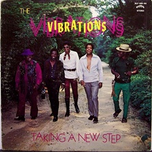 Taking A New Step (Vinyl)