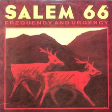 Frequency And Urgency (Vinyl)
