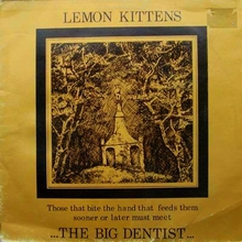 The Big Dentist (Vinyl)