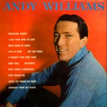 Andy Williams (Vinyl)
