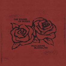 The Sound Of Roses