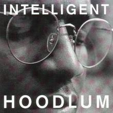 Intelligent Hoodlum