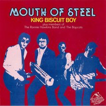 Mouth Of Steel (Vinyl)