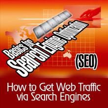How to Get Web Traffic Via Search Engines - Basics for Search Engine Optimization (S.E.O.)