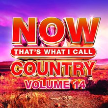 Now That's What I Call Country Vol. 14