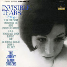 Invisible Tears (Vinyl)