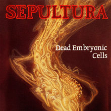 Dead Embryonic Cells (CDS)