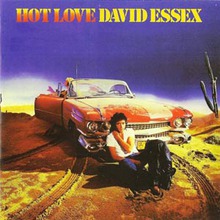 Hot Love (Vinyl)