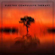 Electro Compulsive Therapy