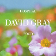 Hospital Food (CDS) CD1