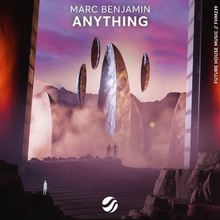 Anything (Extended Mix) (CDS)