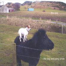the dog and pony show