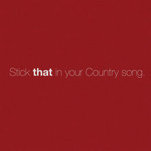 Stick That In Your Country Song (CDS)