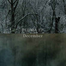 Pluma (EP)
