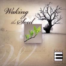 Waking the Soul