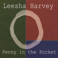 Penny in the Pocket
