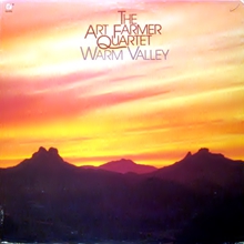 Warm Valley (Vinyl)