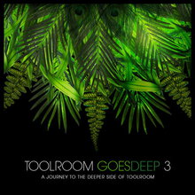 Toolroom Goes Deep 3
