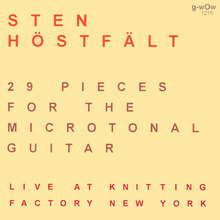 29 Pieces For The Microtonal Guitar Live At Knitting Factory New York