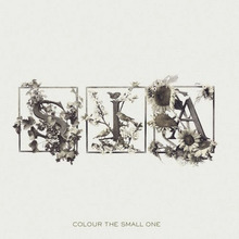 Colour the Small One (US Edition)