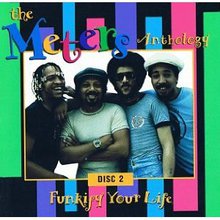 Funkify Your Life: The Meters Anthology CD1
